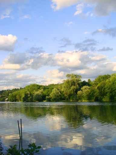 Edges Marne Wall Decal