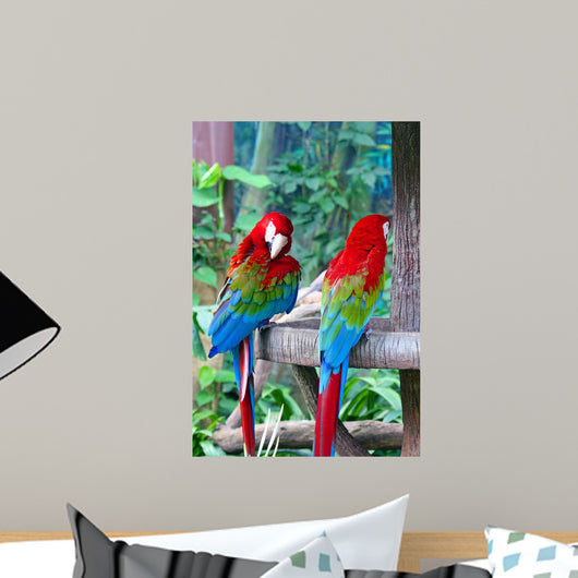 Papagei Wall Decal