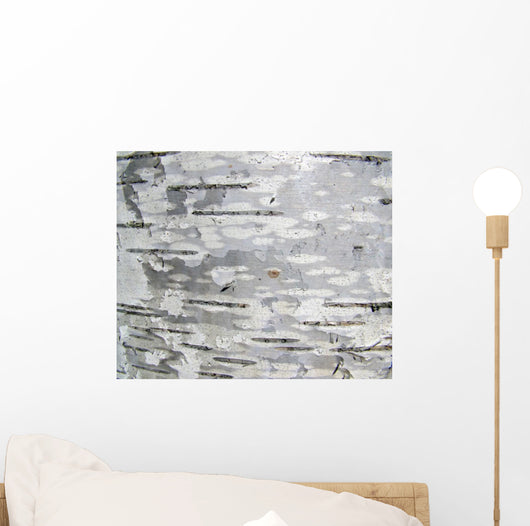 Closeup Structure Birch Bark Wall Decal