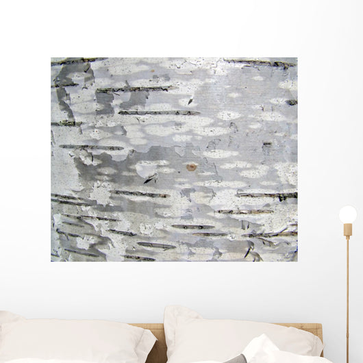 Closeup Structure Birch Bark Wall Decal
