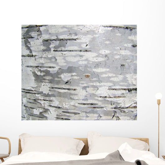 Closeup Structure Birch Bark Wall Decal