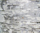 Closeup Structure Birch Bark Wall Decal