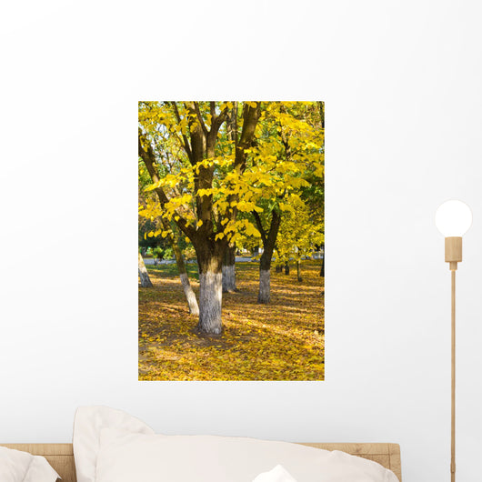 Yellow Trees Wall Decal