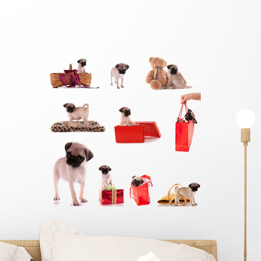 Montage Animalier Chiot Carlin Wall Decal