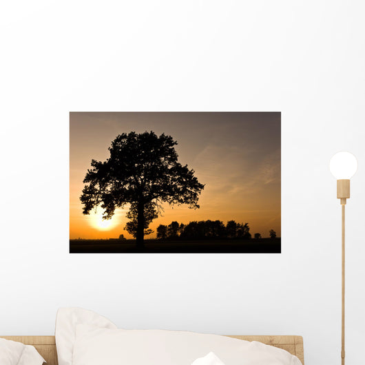 Tree Silhouette and Sunset Wall Decal