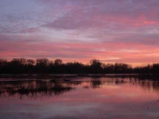 Loire Sunset Wall Decal