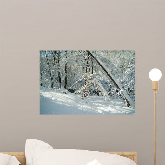 Fallen Tree and Stream Wall Decal