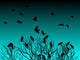 Tree Crows Twilight Wall Decal