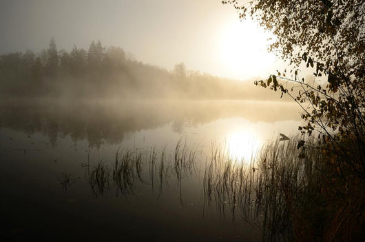 Morning's Fog over Lake Wall Decal