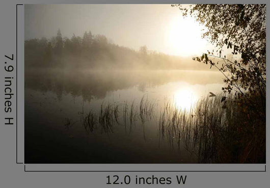 Morning's Fog over Lake Wall Decal