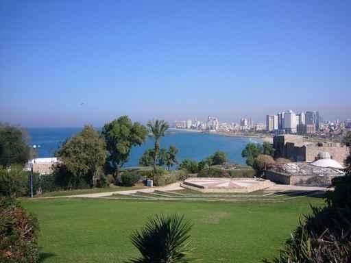 Tel Aviv Wall Decal