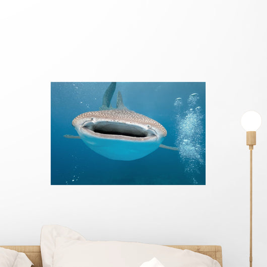 While Shark Blue Wall Decal
