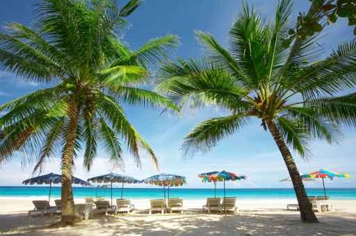 Morning Beach Wall Decal