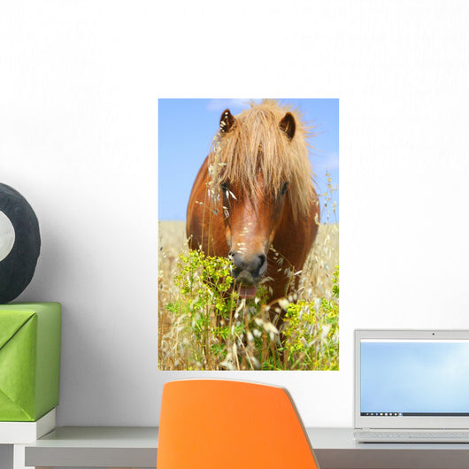 Horse in a Wheat Field Wall Decal
