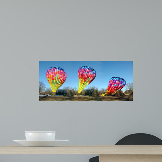 Balloon Test Wall Decal