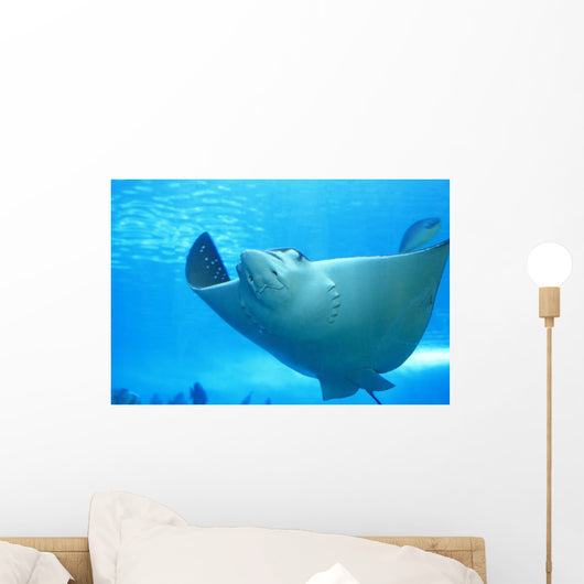Beautiful Stingray Wall Decal