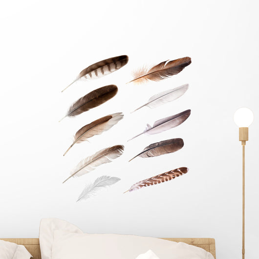 Ten Feathers from Different Wall Decal