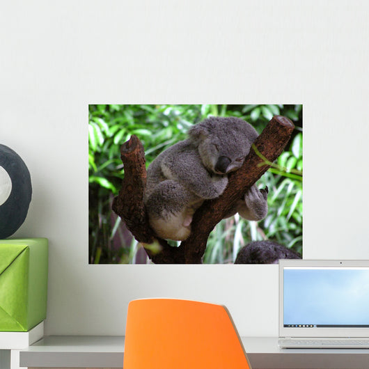 Sleeping Koala Wall Decal