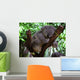 Sleeping Koala Wall Decal