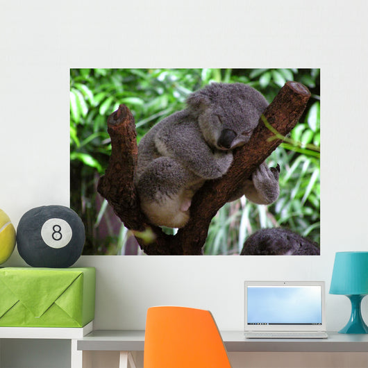 Sleeping Koala Wall Decal
