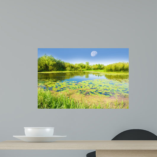 Colourful Bog Wall Decal