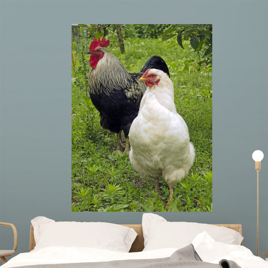 Rooster and Hen Wall Decal