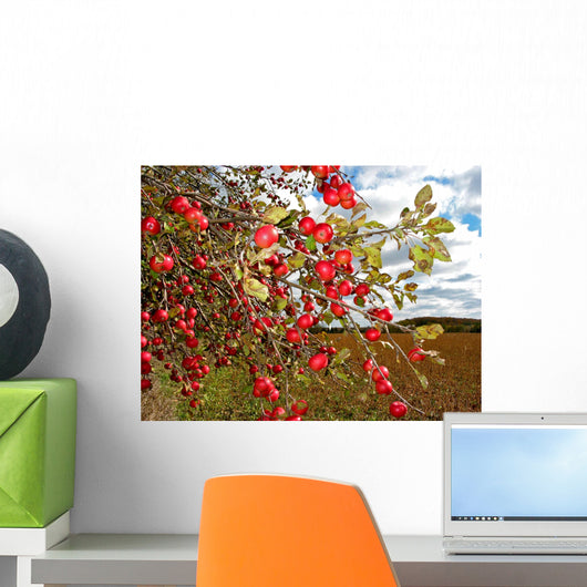 Red Apples Apple Tree Wall Decal