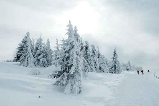 Winter Landscape 2 Wall Decal