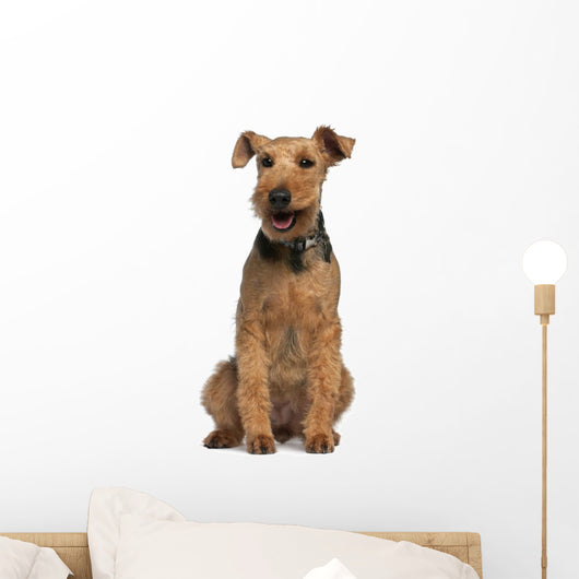 Welsh Terrier Wall Decal