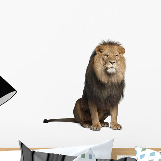 Sitting Lion - Front Side (Panthera Leo) Wall Decal