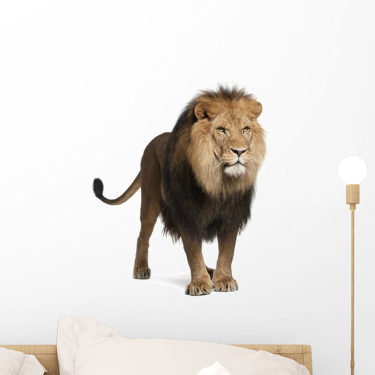 Standing Lion (Panthera Leo) Wall Decal