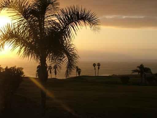 Sunset1 Wall Decal
