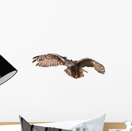 Flying Owl Wall Decal
