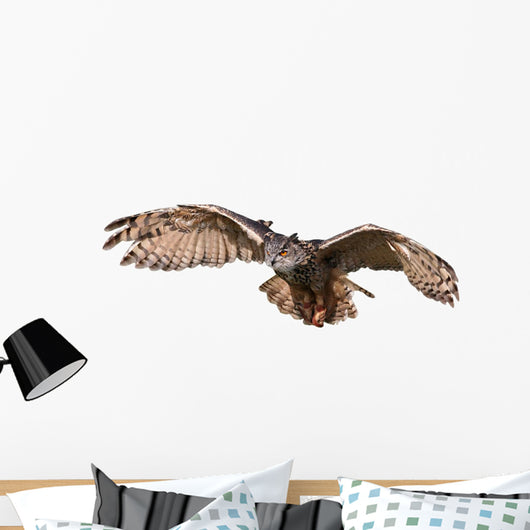 Flying Owl Wall Decal