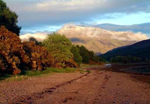 Ben Nevis Wall Decal
