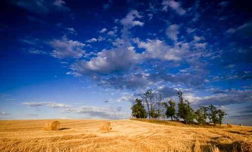 Hay Bale and Trees Landscape Wall Decal
