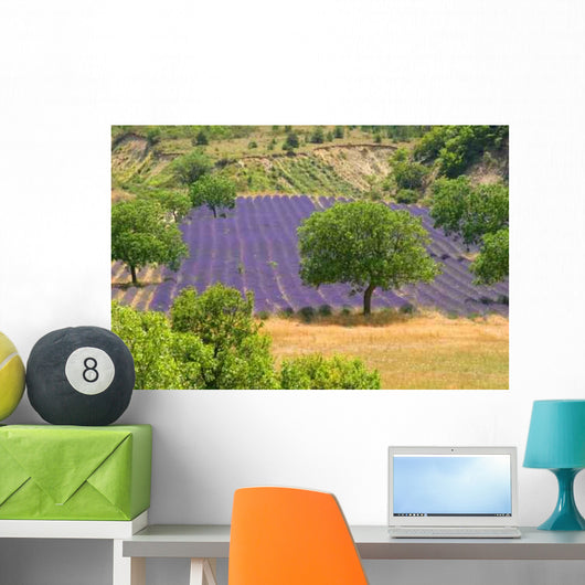 Paesaggio 006 Wall Decal