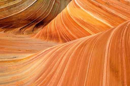 The Wave Arizona Close-up Wall Decal