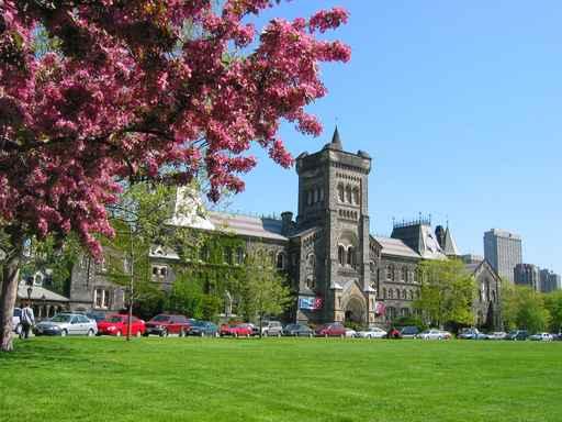 University Toronto Flowering Crabapple Wall Decal