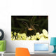 Daddy-long-legs Spider Wall Decal