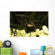 Daddy-long-legs Spider Wall Decal