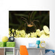 Daddy-long-legs Spider Wall Decal