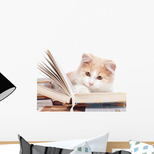 Little Cat Read Book Wall Decal