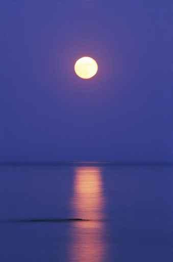 Moon Light Water Wall Decal