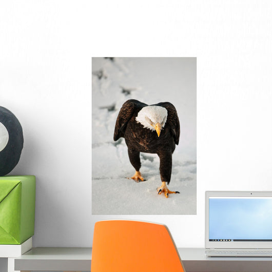 Eagle Going Snow Wall Decal