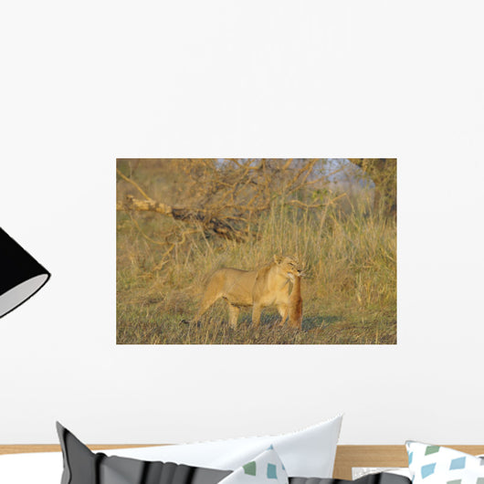 Lioness with Prey Wall Decal