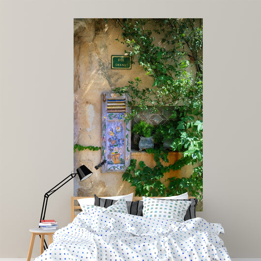Colours Provence Overgrown Wall - Wall Decal