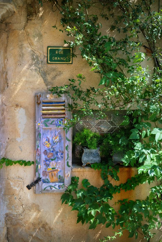 Colours Provence Overgrown Wall - Wall Decal