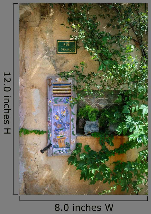 Colours Provence Overgrown Wall - Wall Decal