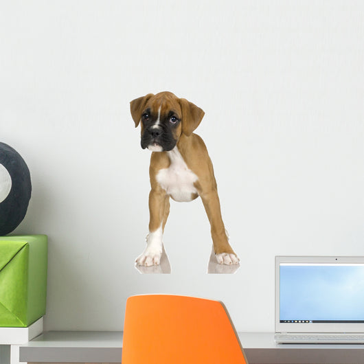 Puppy Boxer Front White Wall Decal